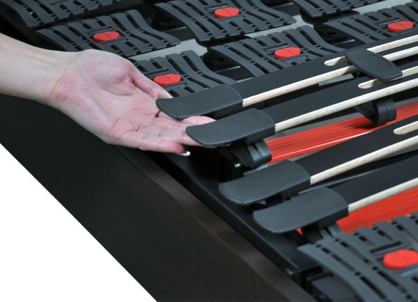 Ensemble Angkor Amazonia Electrique 1 Personne